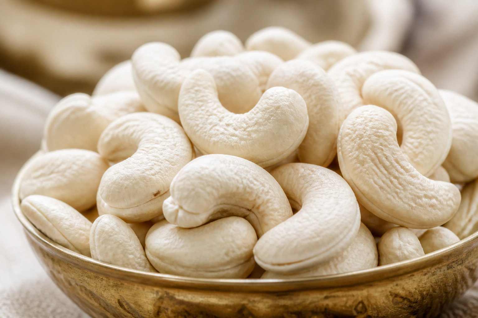 Wholesale Konkan cashew grades landing page